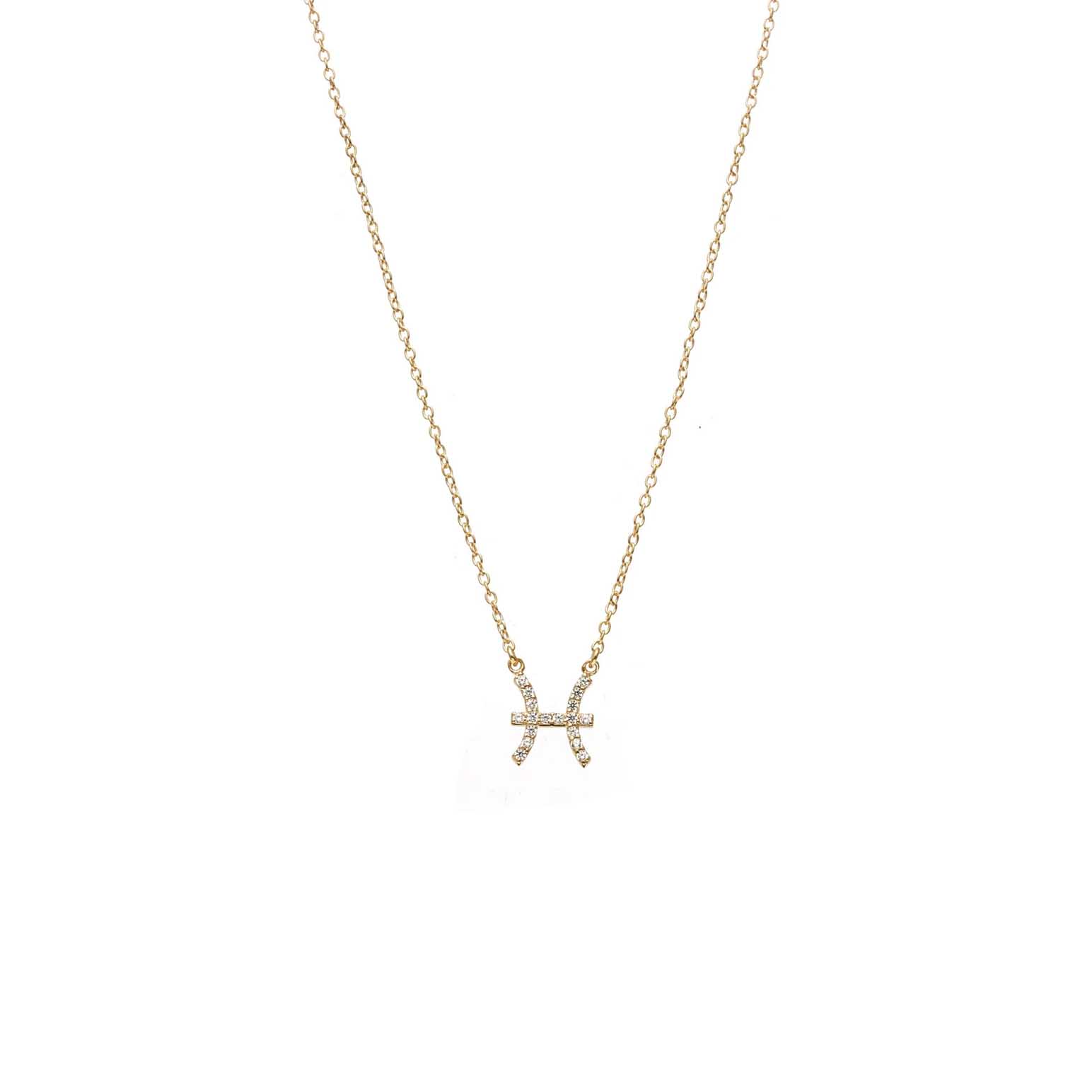 Silk & Steel Pisces Necklace